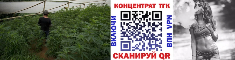 Купить где Карачаевск ТГК жижа