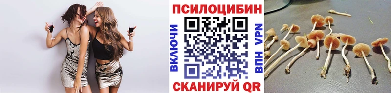 Купить  Карачаевск  Псилоцибиновые грибы мицелий 