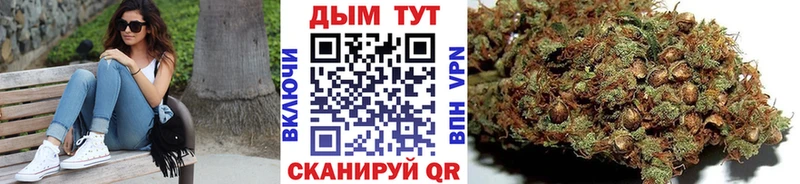 Шишки марихуана Amnesia  Купить закладки  Карачаевск 